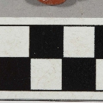 590376