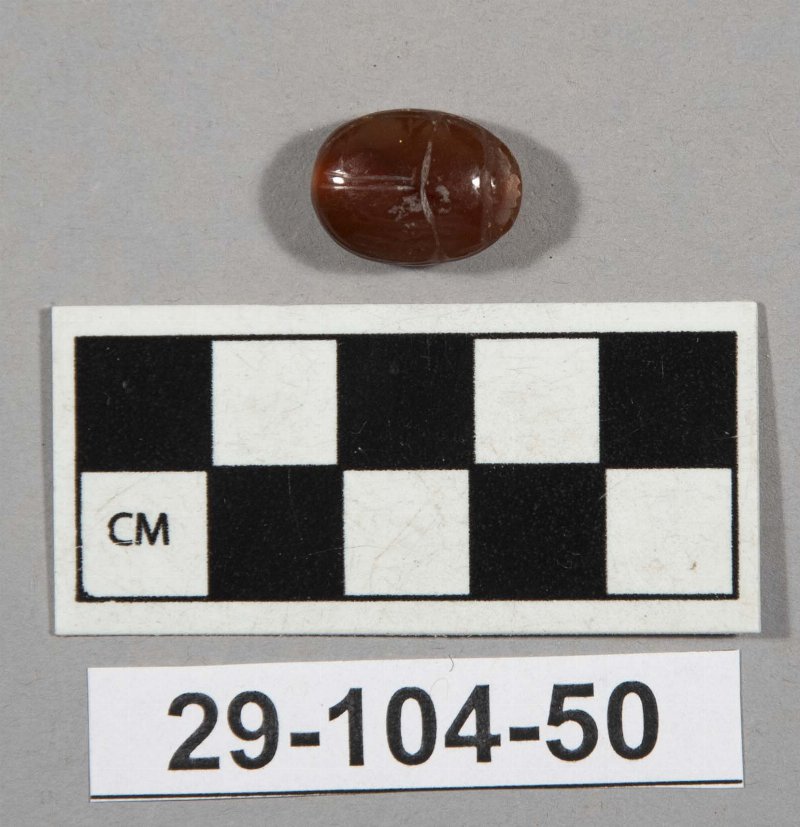 590381