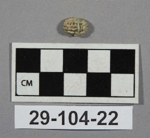 29-104-22