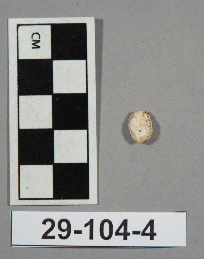 590411