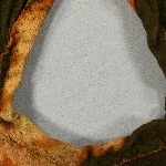 591244