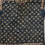 591481