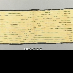 591514