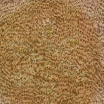 592374