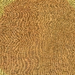 592479