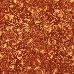 593125