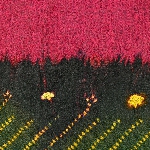 593162