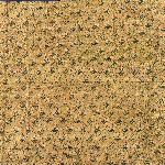 593522