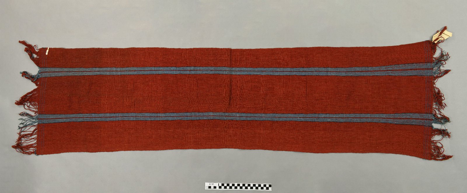 594029