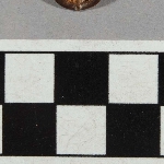 594793