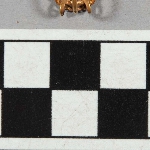 594813