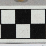 594829