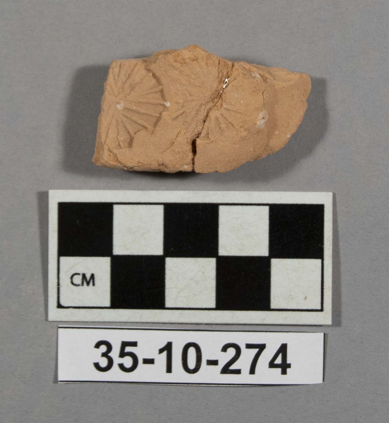 594909