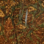 595572