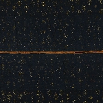 595884
