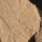 595981
