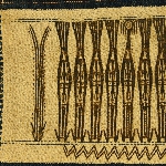 596097