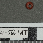 596493