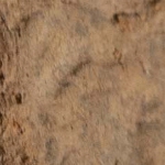 597415