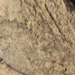 597455