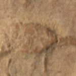 597527