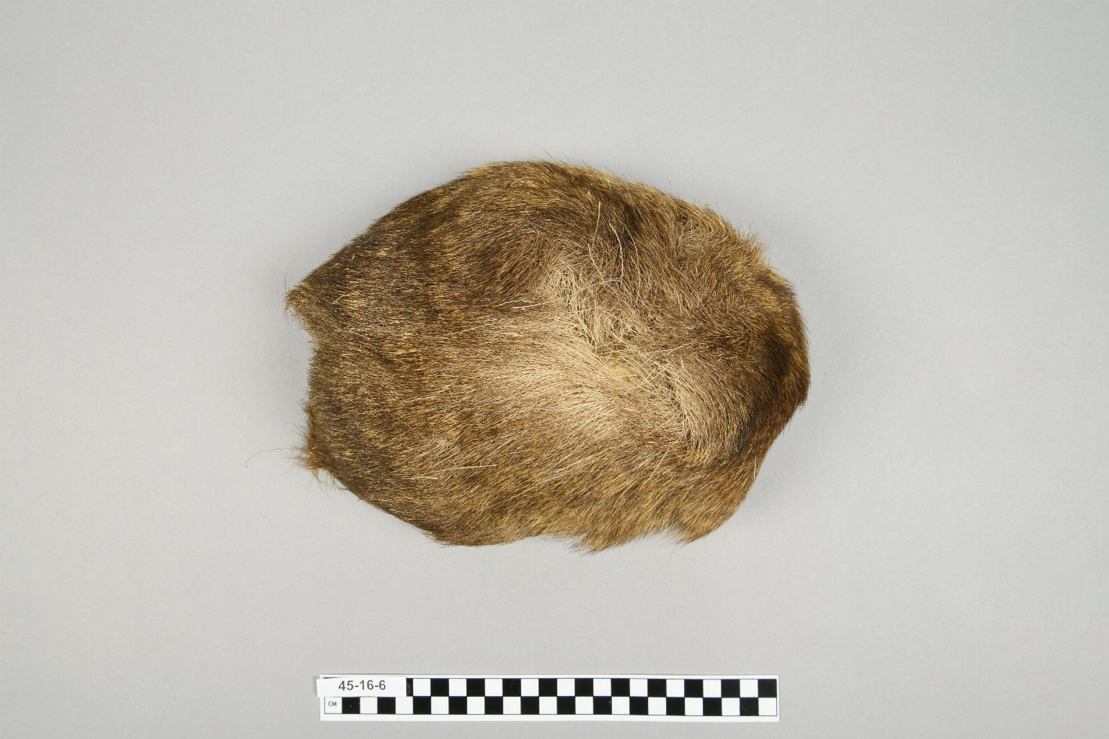601568