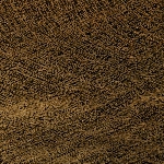 601831