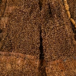 601836