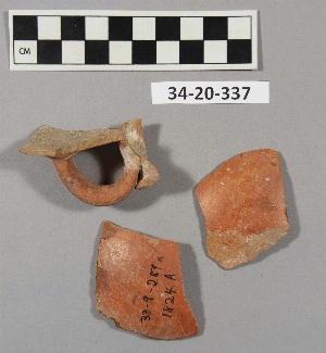 34-20-337