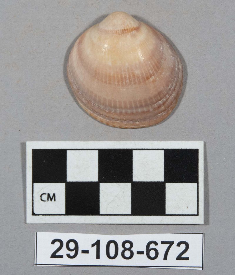 604552