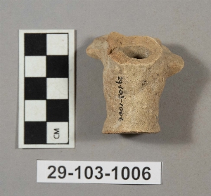 29-103-1006