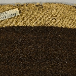 605377
