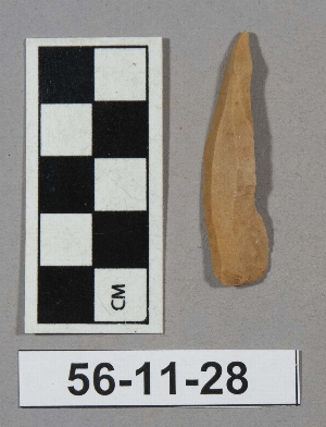 56-11-28