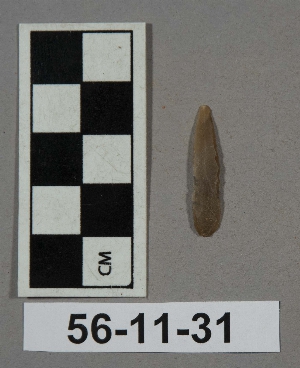 56-11-31