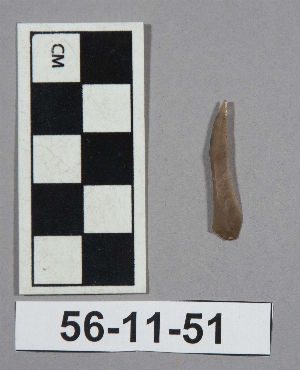 56-11-51