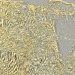 606001
