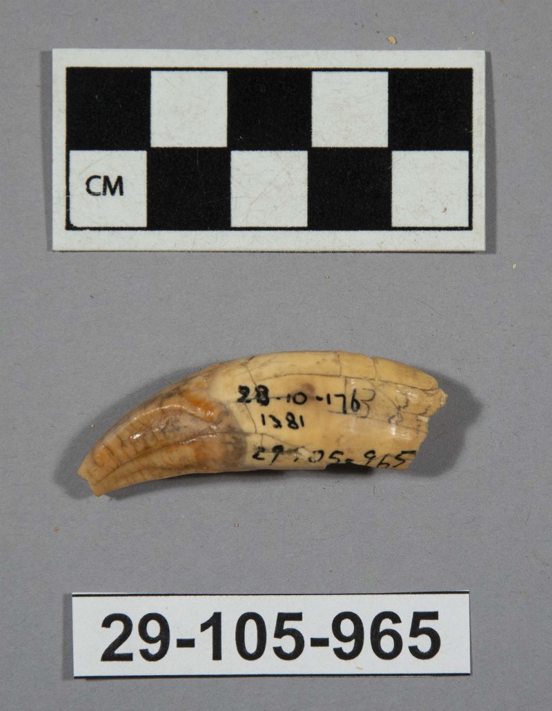 606243