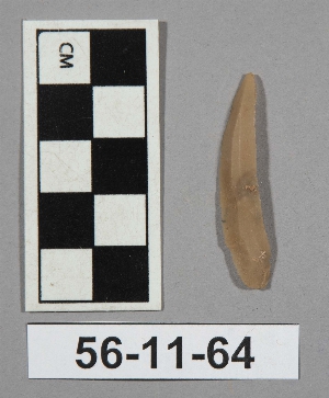 56-11-64