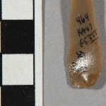 608033