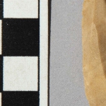 608443