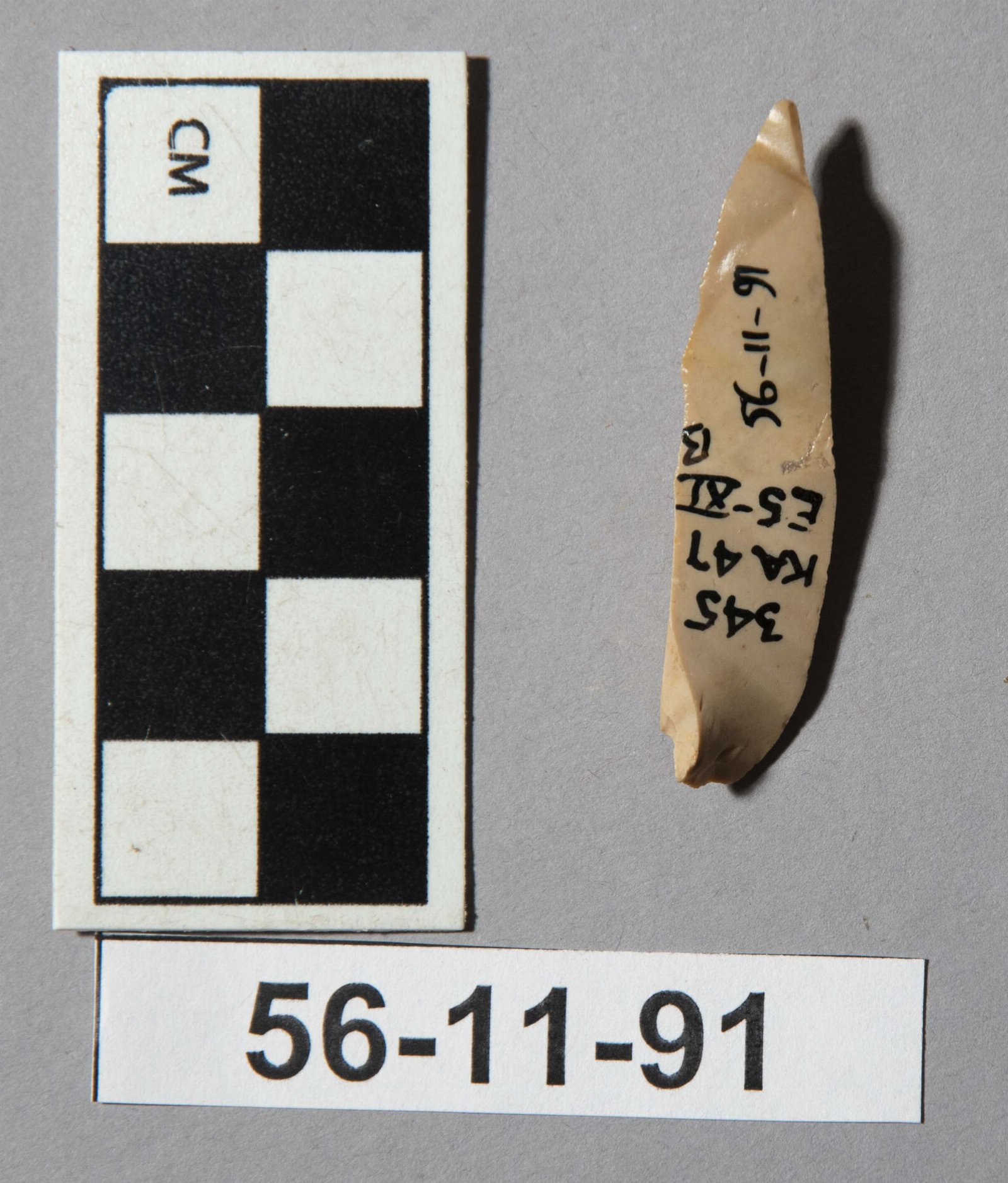608446