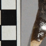 608481