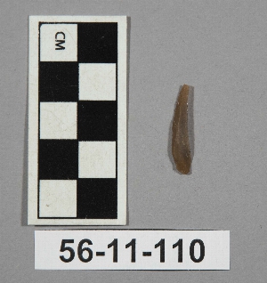 56-11-110