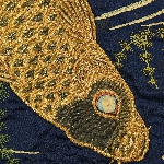 610647