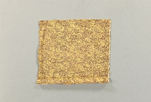 29-172-13F