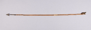 AF354