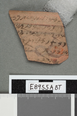 E8955A