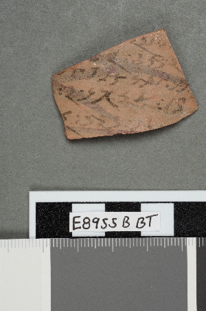 E8955B
