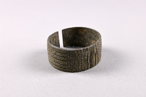 AF4519