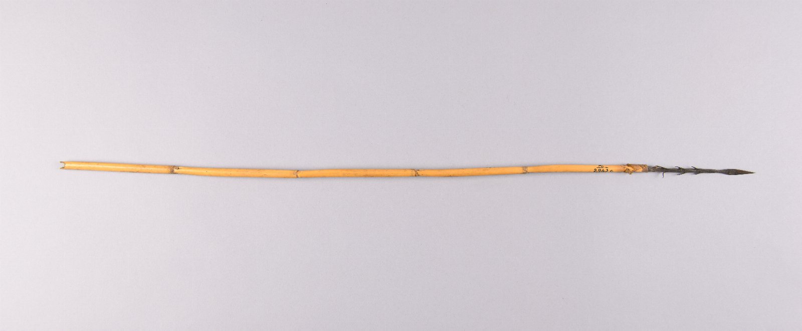 621361